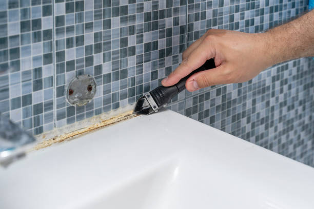 Certified Mold Removal in Texarkana, AR