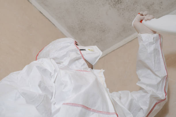 Best Emergency Mold Removal  in Texkana, AR