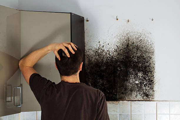 Best Office Mold Removal Services  in Texkana, AR